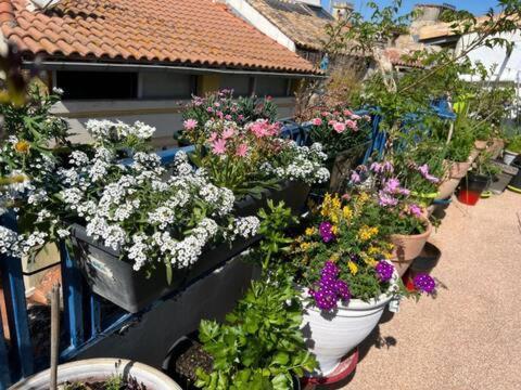 Loft Apartment , La Terrasse Centre Ville D'Arles, ภายนอก รูปภาพ